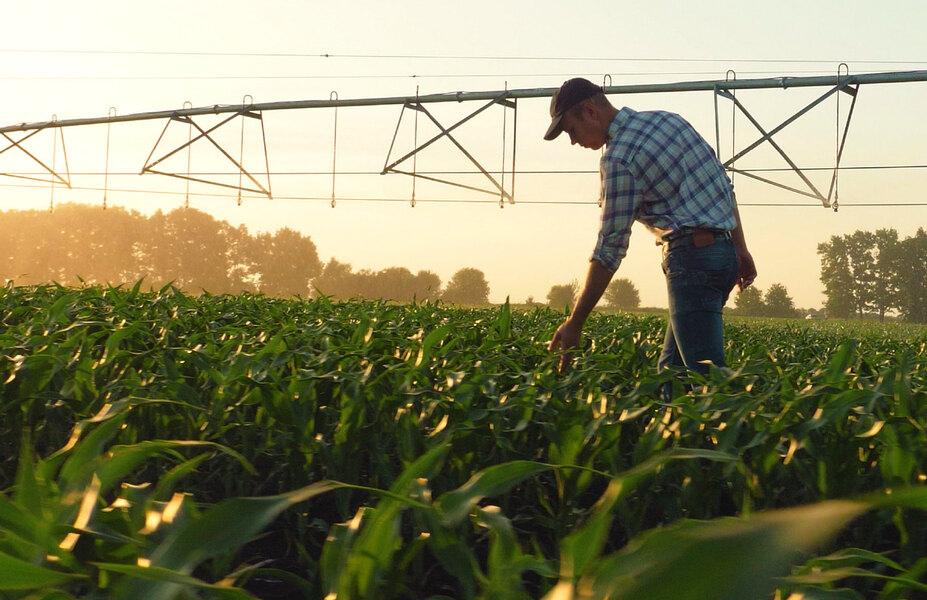 Agribusiness
